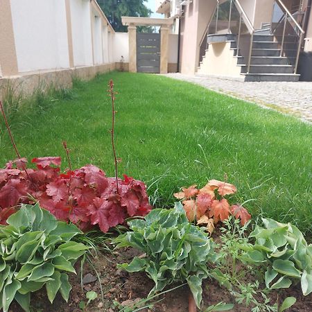 Stella Guesthouse ساباريفا بانيا المظهر الخارجي الصورة